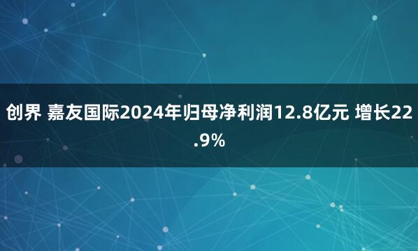 创界 嘉友国际2024年归母净利润12.8亿元 增长22.9%