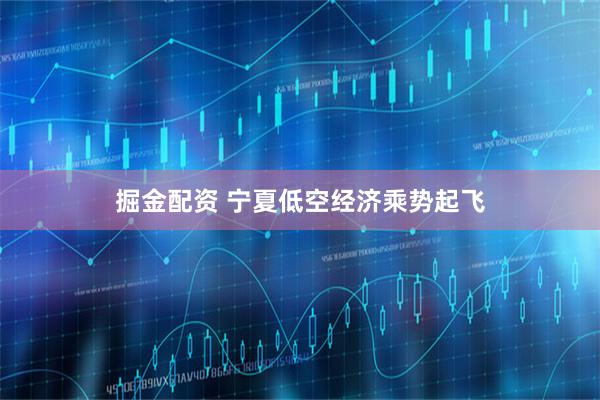 掘金配资 宁夏低空经济乘势起飞