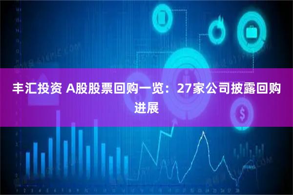 丰汇投资 A股股票回购一览：27家公司披露回购进展