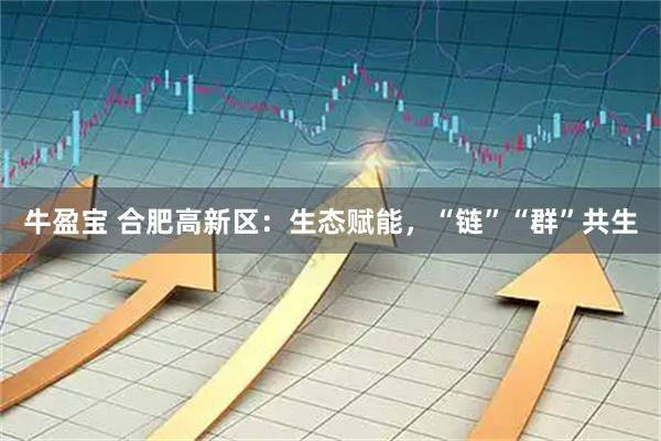 牛盈宝 合肥高新区：生态赋能，“链”“群”共生