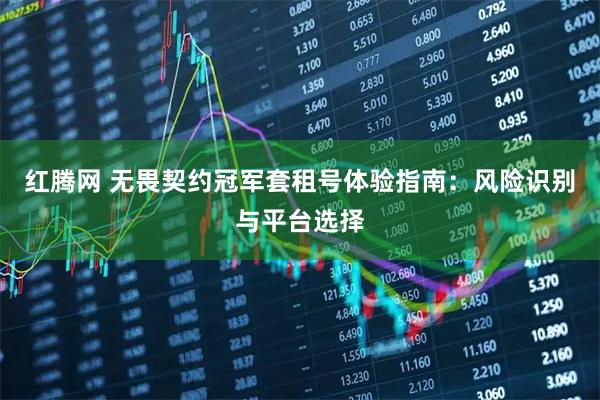 红腾网 无畏契约冠军套租号体验指南：风险识别与平台选择