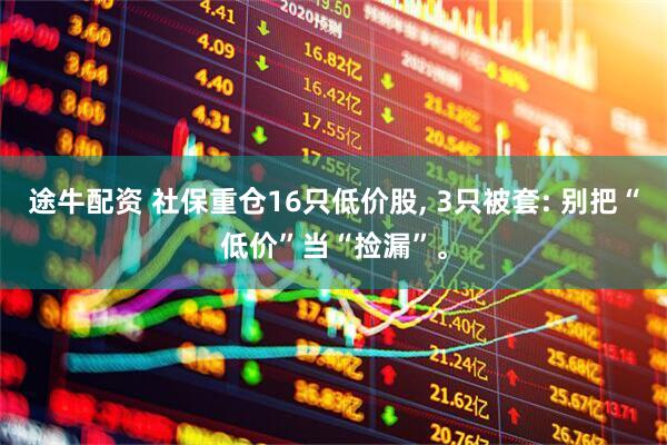途牛配资 社保重仓16只低价股, 3只被套: 别把“低价”当“捡漏”。