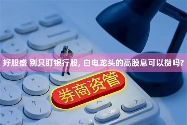 好股盛 别只盯银行股, 白电龙头的高股息可以攒吗?