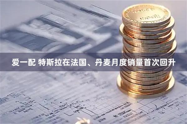 爱一配 特斯拉在法国、丹麦月度销量首次回升