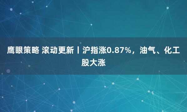 鹰眼策略 滚动更新丨沪指涨0.87%，油气、化工股大涨